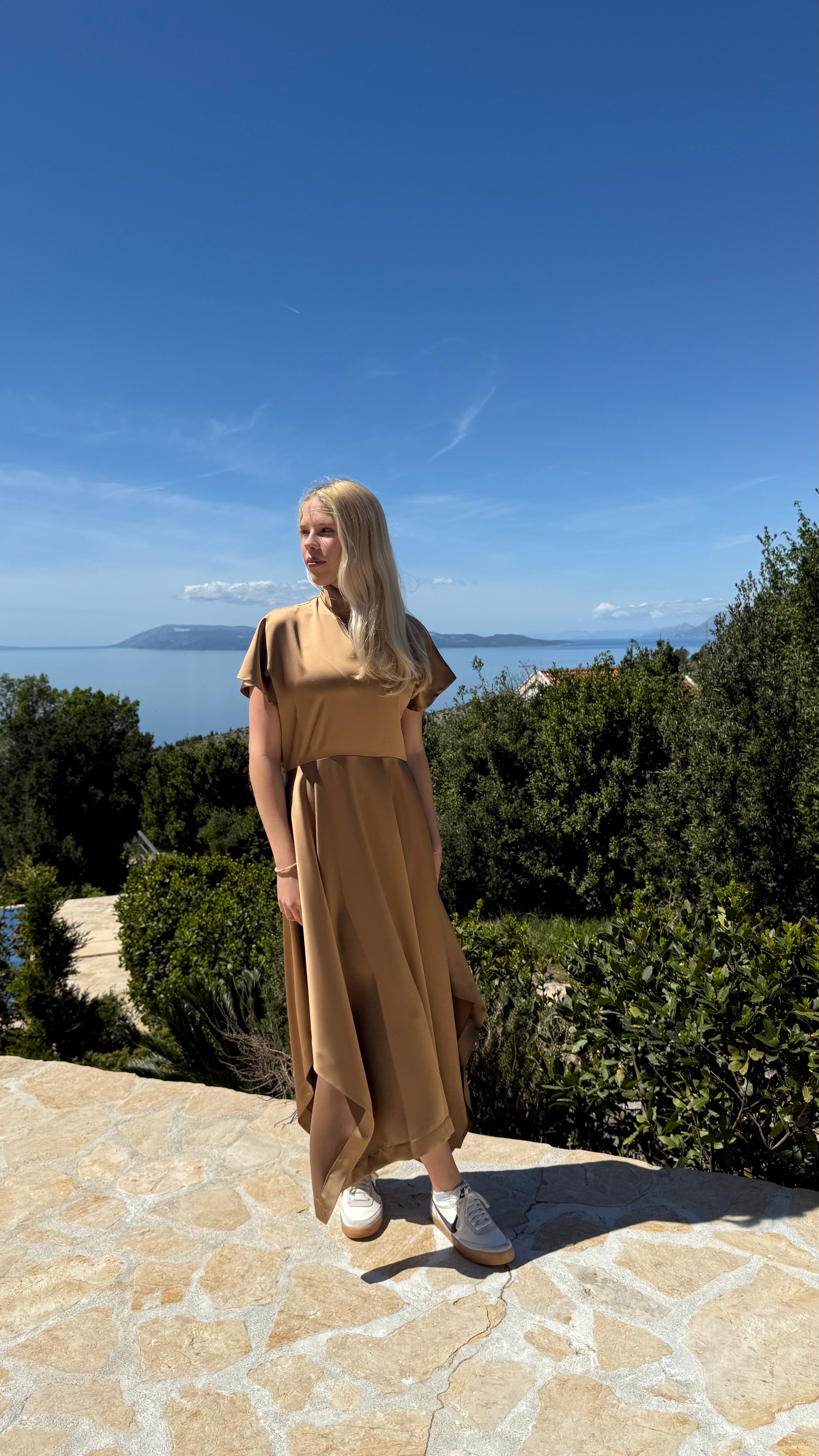 Elegant Dress