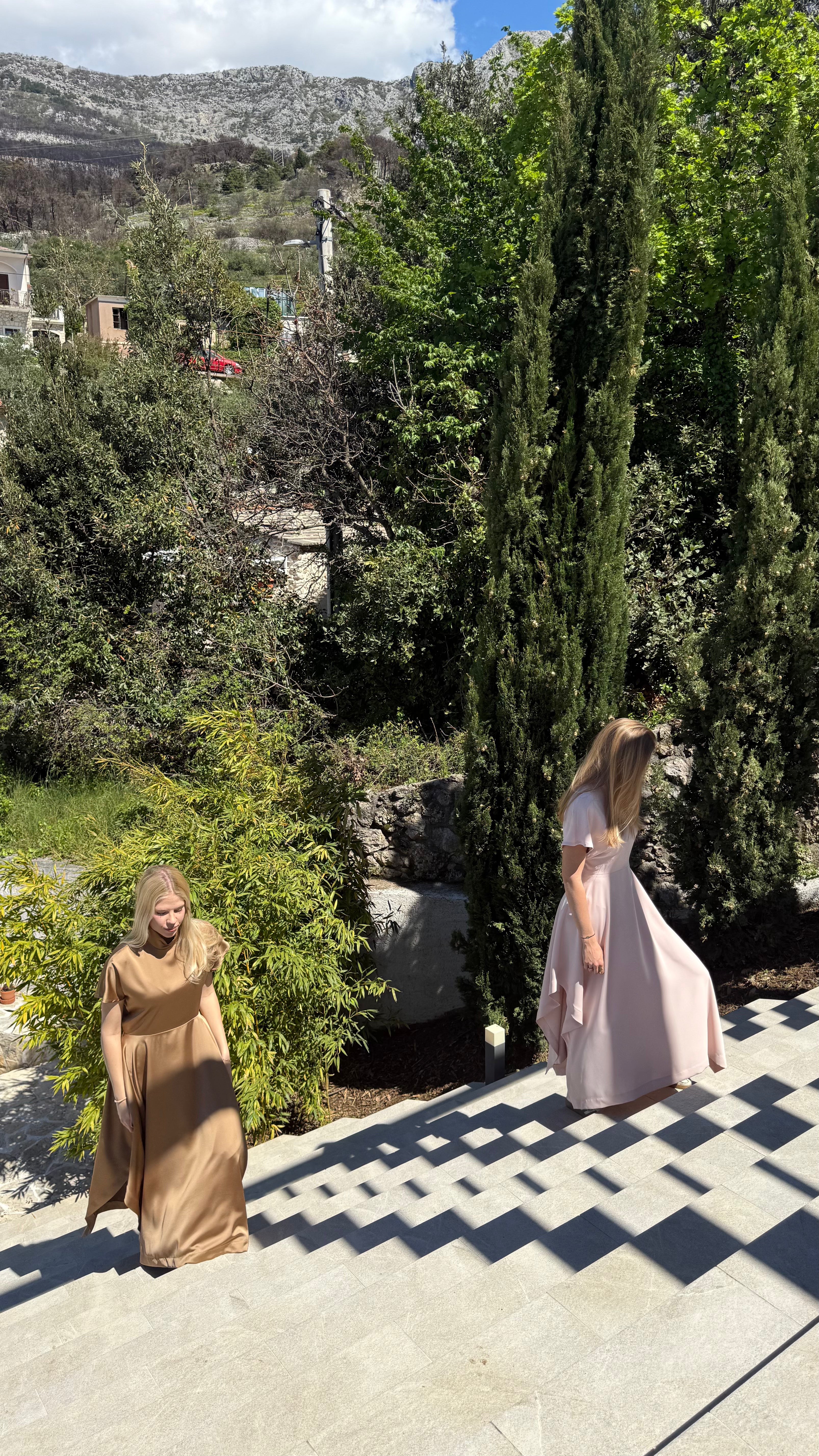 Elegant Dress