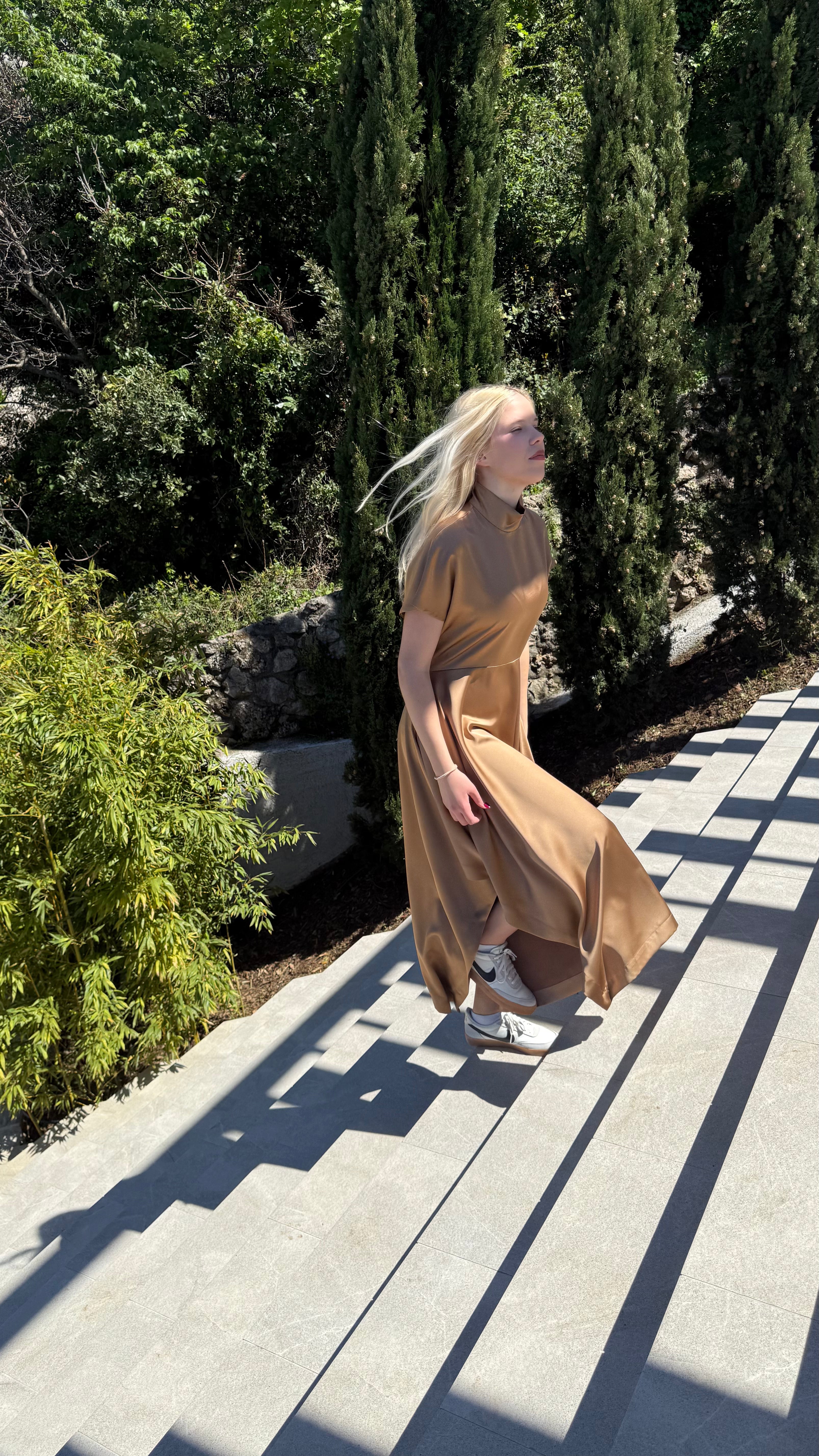 Elegant Dress